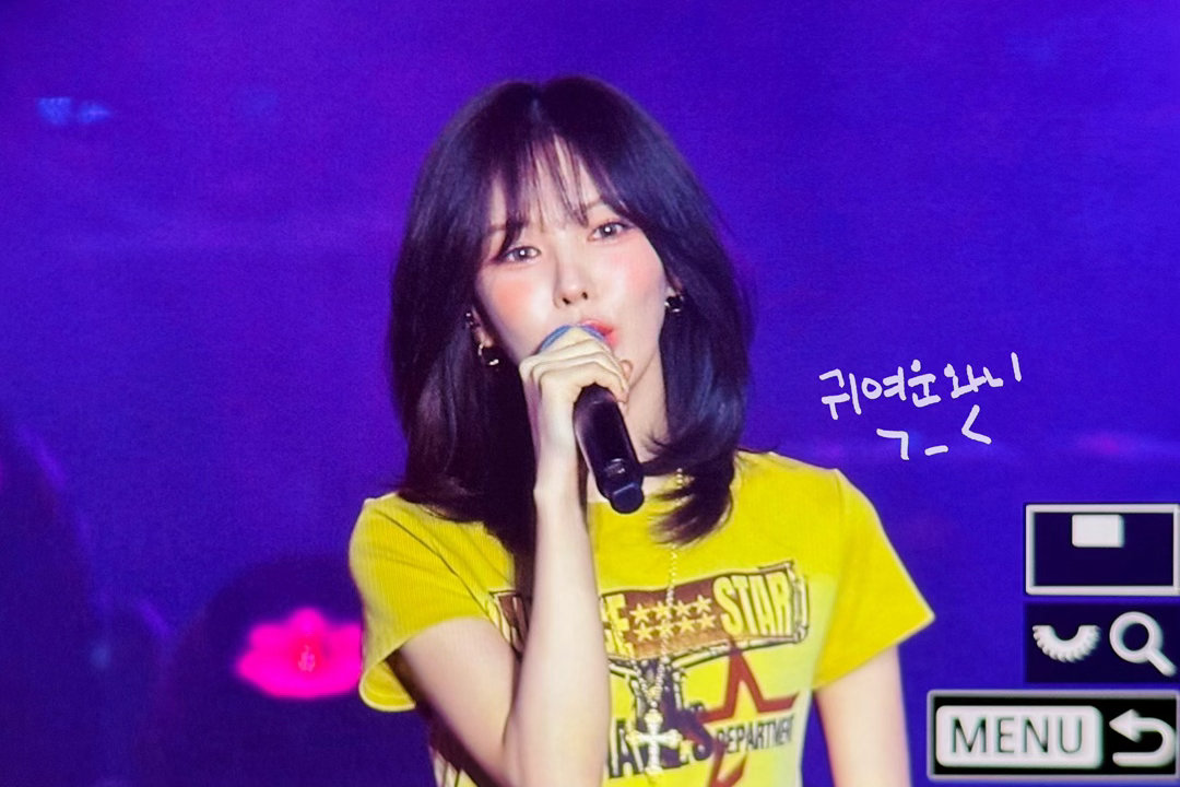 RedVelvet  💙Wendy 260606 weverse演唱会 饭拍预