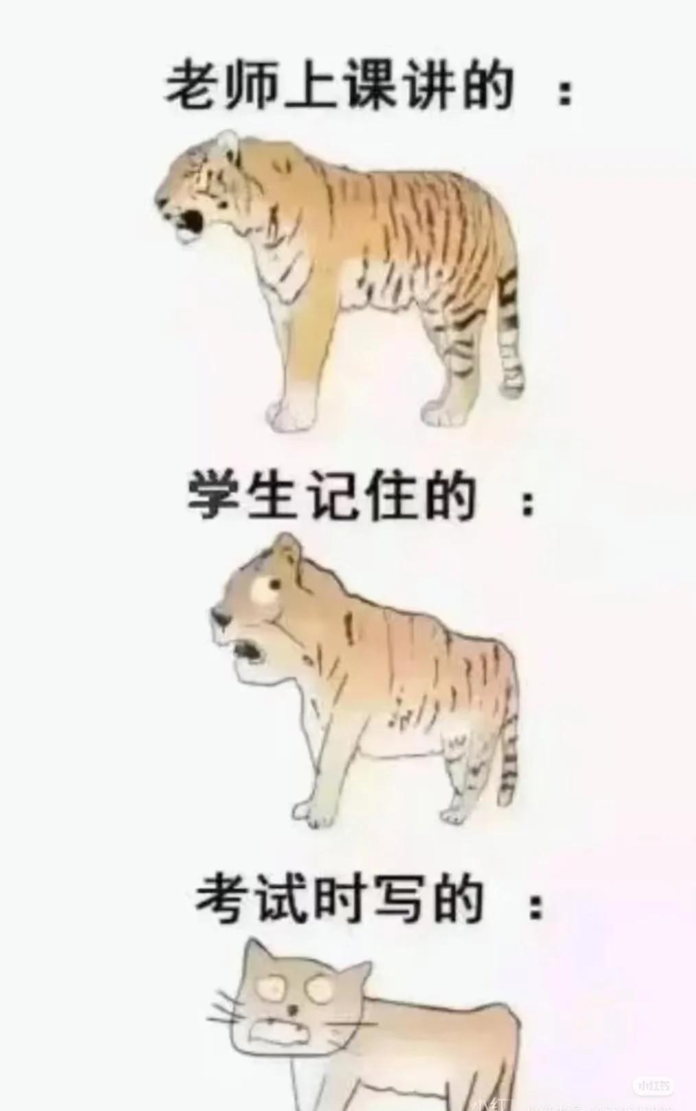 梗图爆料
此图有梗 梗图 人间真实 图片仅供娱乐 离谱但合理 合理但有病 定格有