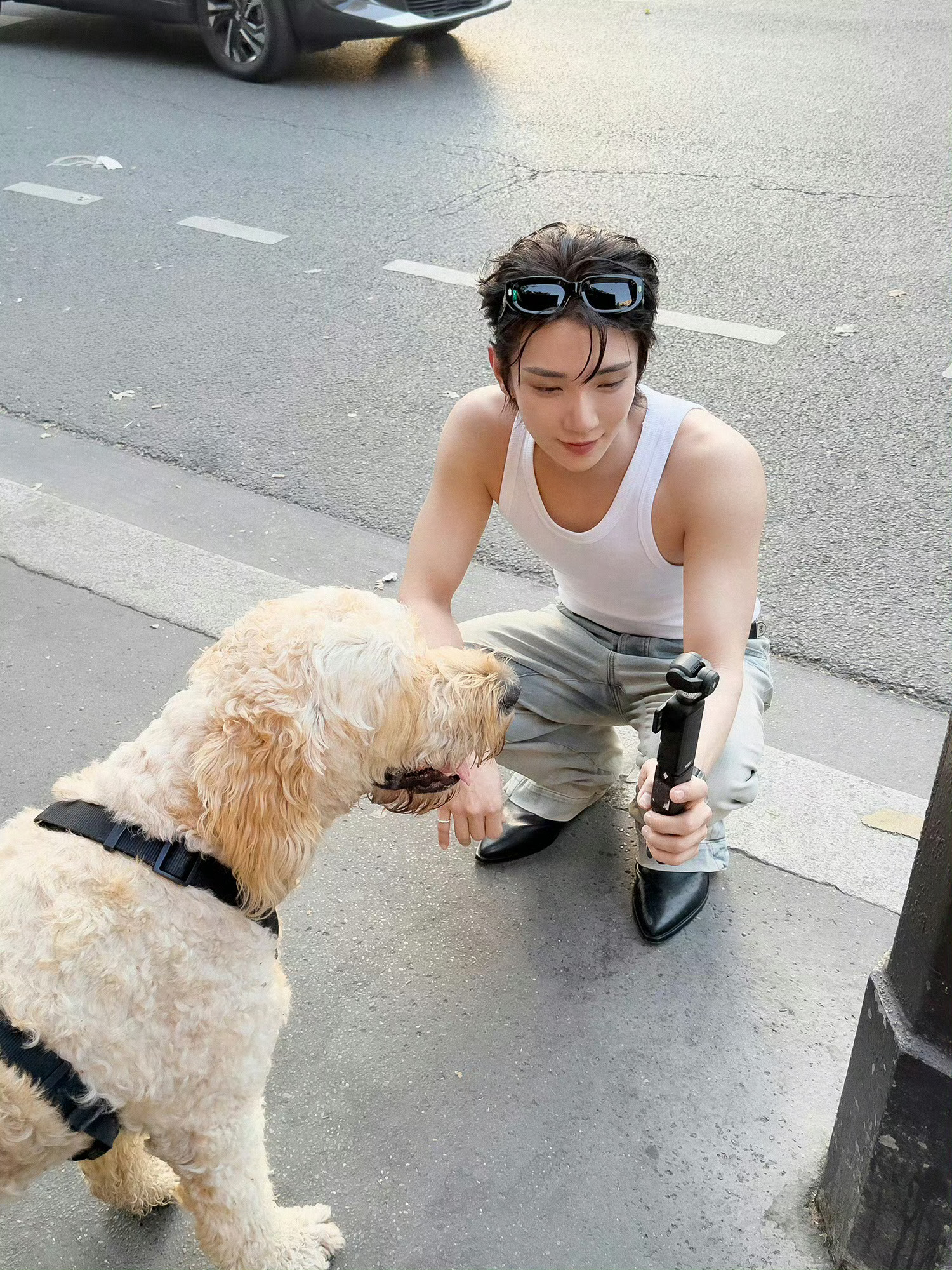好喜欢这张🥺 