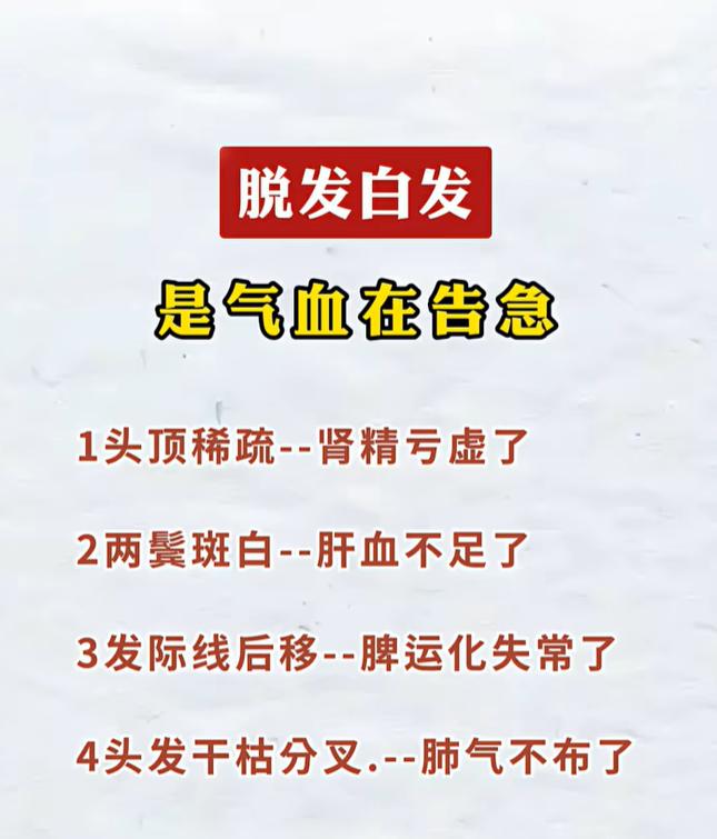 头顶稀疏两鬓发白，读懂气血的信号