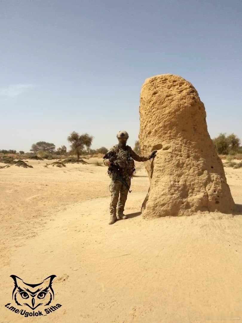 俄罗斯非洲军团 