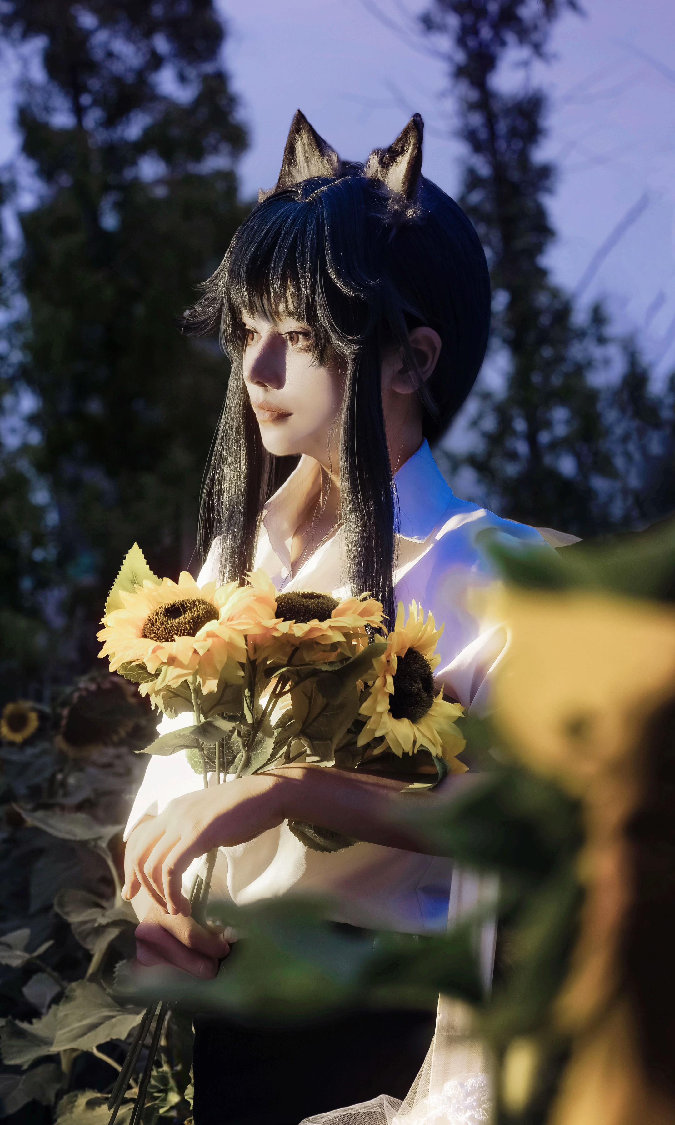 “等日落西山，等冬去春来，等尘埃落定”德克萨斯  📹