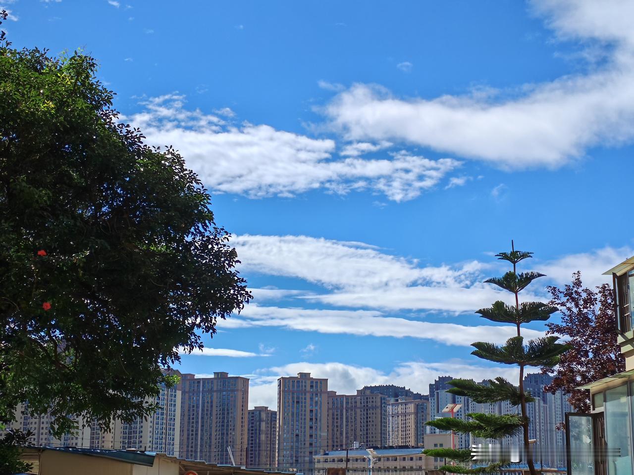 随手一拍，蓝天白云
尽情享受，治愈一切