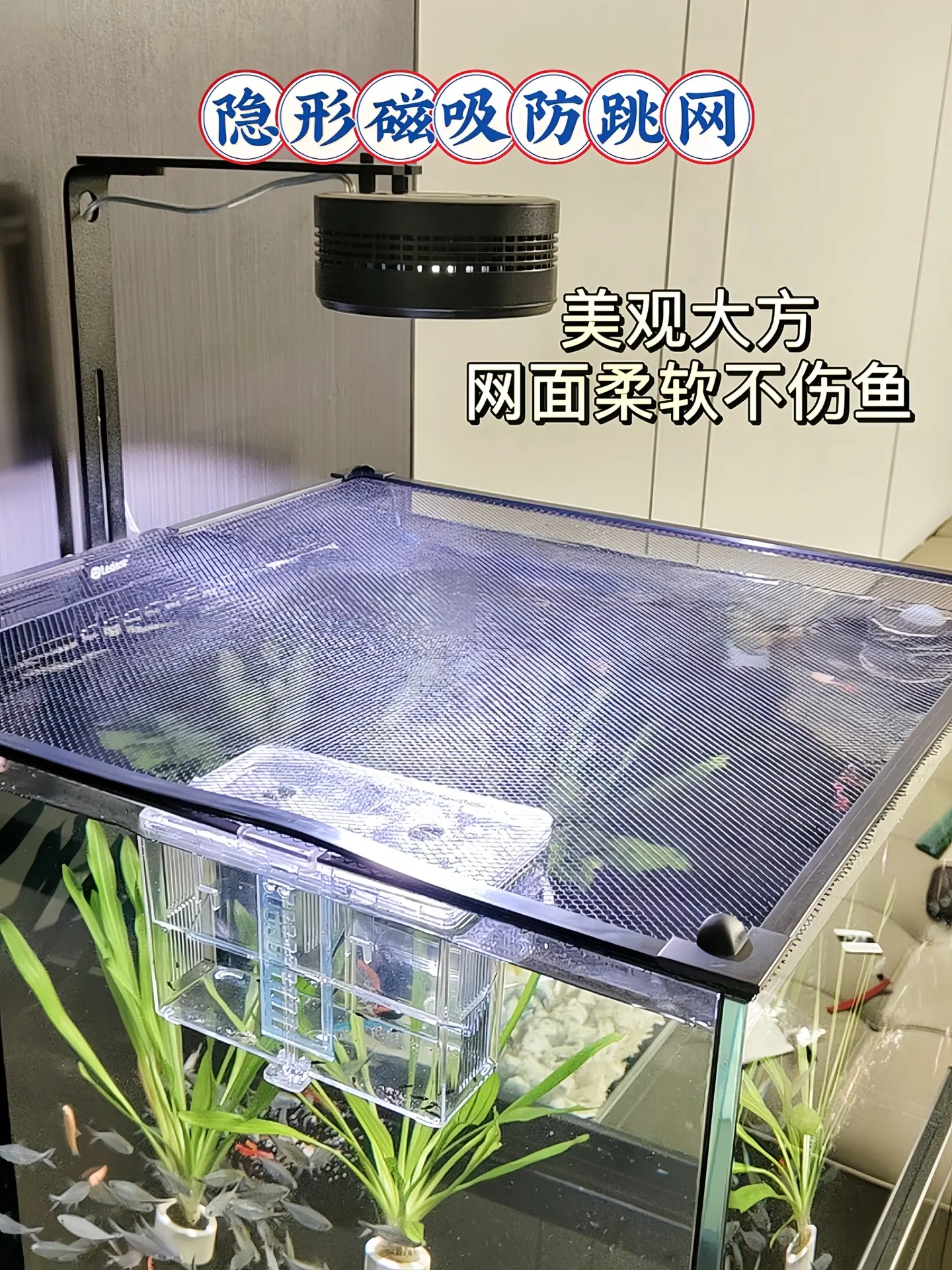 有它守着鱼缸，再也不担心鱼“离家出走”！鱼缸磁吸防跳网，超强吸力紧紧贴...