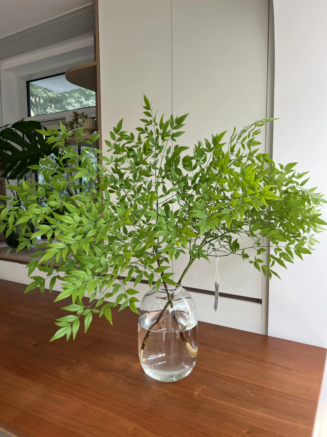 南天竹搭配透明喜悦花瓶，效果出奇的好🌷🌿