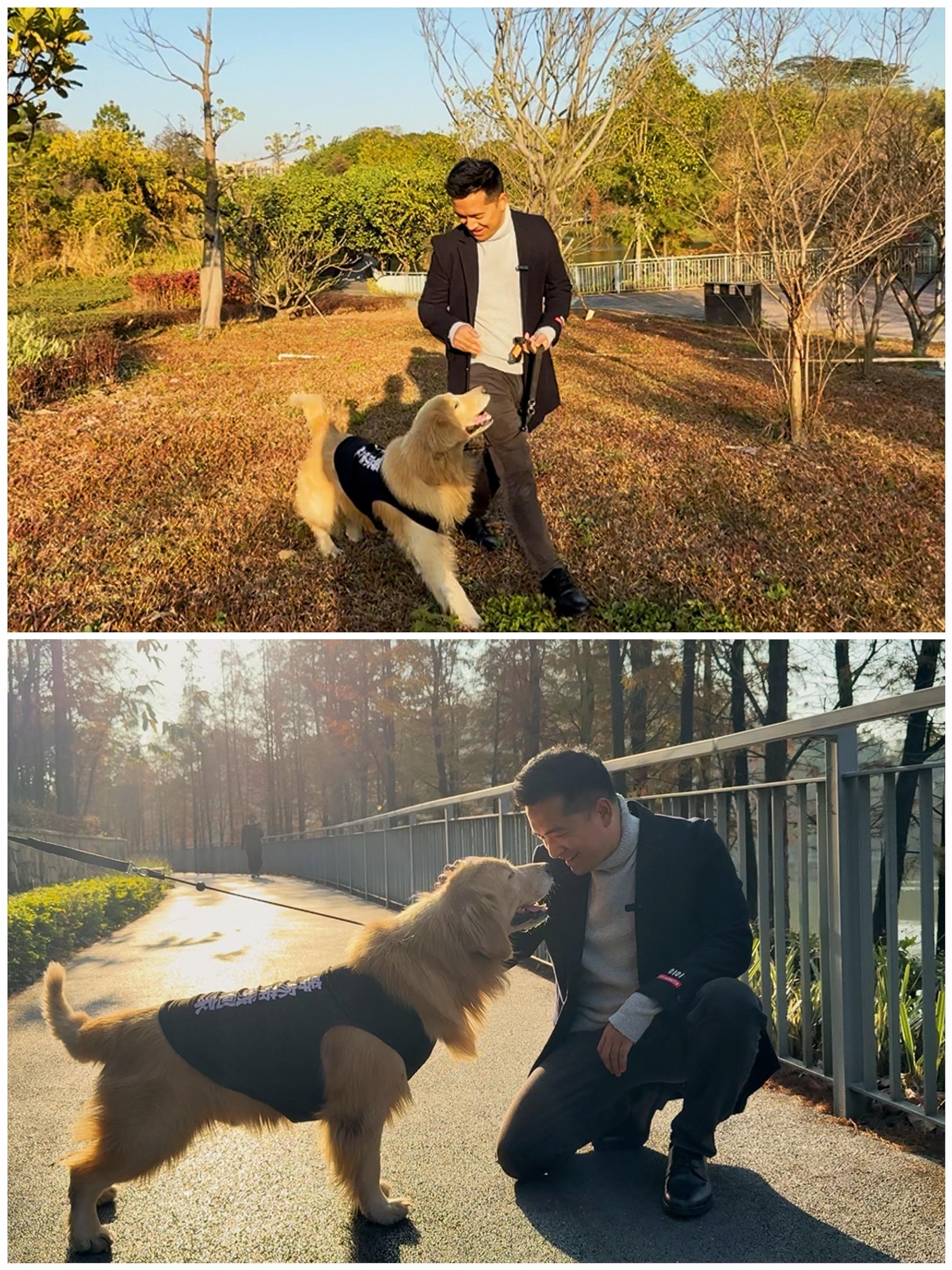 昨天偶遇到这只可爱的金毛。昨天到广佛新世界散步，偶遇到这只可爱的金毛...