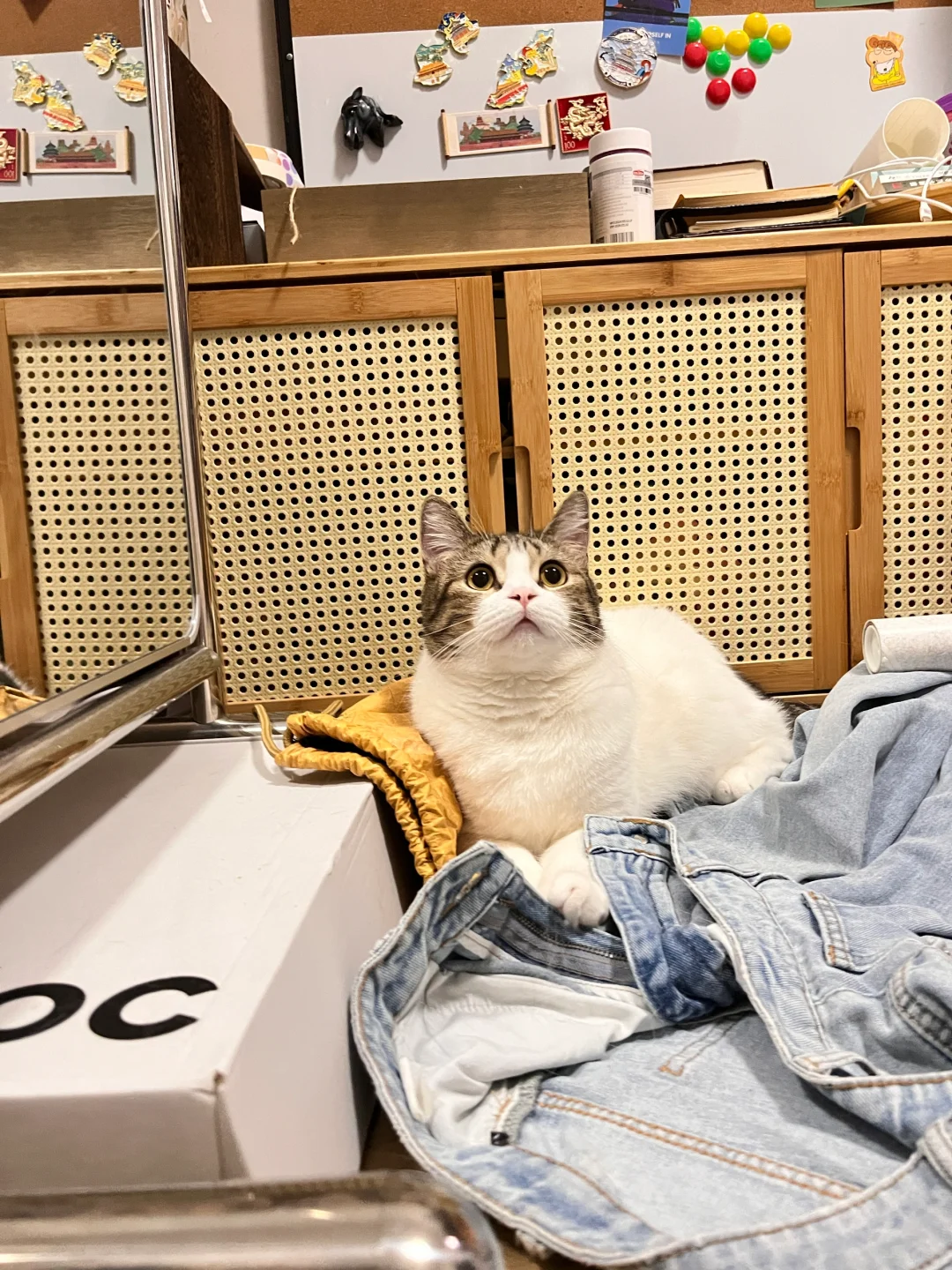 宝宝眼睛亮晶晶✨