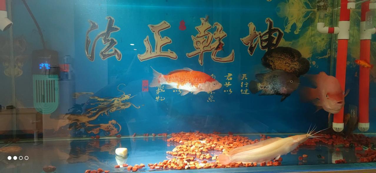 实习律师第163天
        找判决书是我最不爱干得活，没有之一。
   