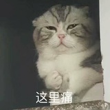 汤圆说说影视剧