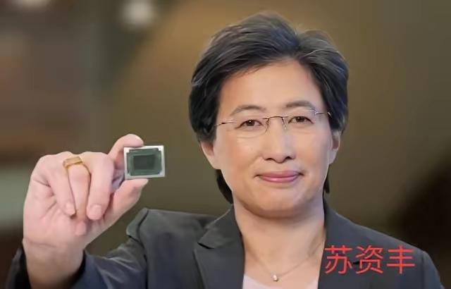 她不是中国人，但却在最敏感的中美科技战时期，把AI芯片、CPU架构甚至整个研发团