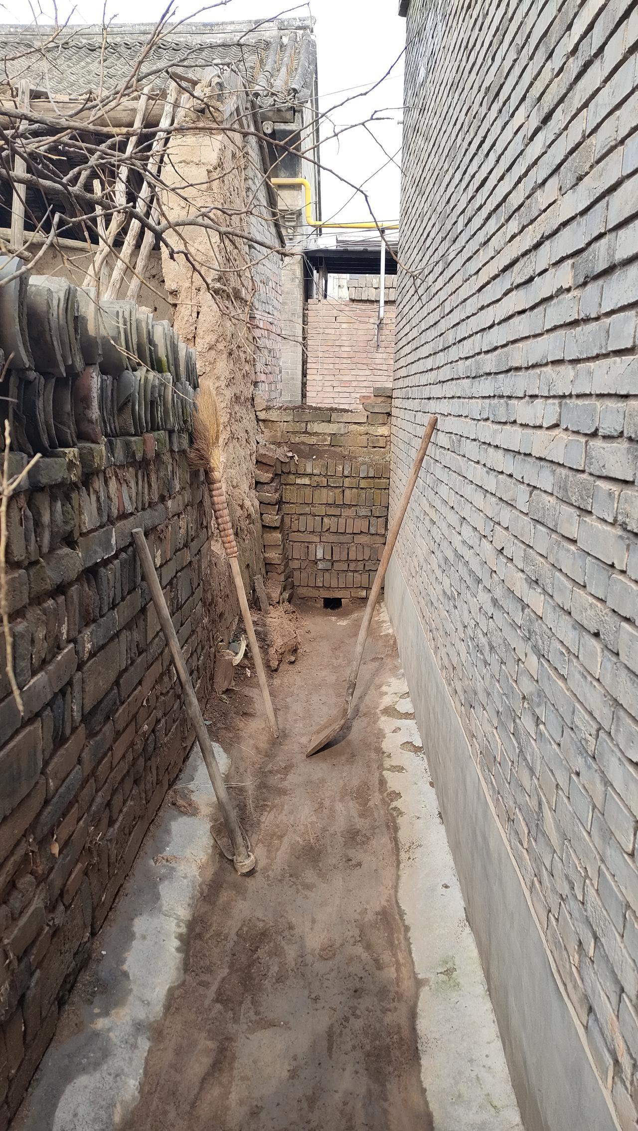 劳动才是最有效的锻炼身体，今天清理了一小段水道，感觉比每天走上万步的运动量大很多