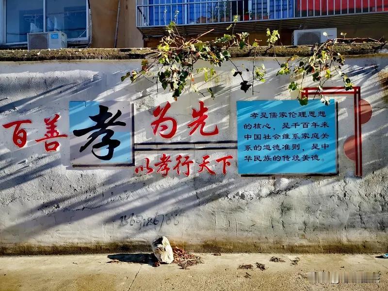 我超认同“百善孝为先”。孝是中华民族的传统美德，就像大树的根，滋养着整个家族。