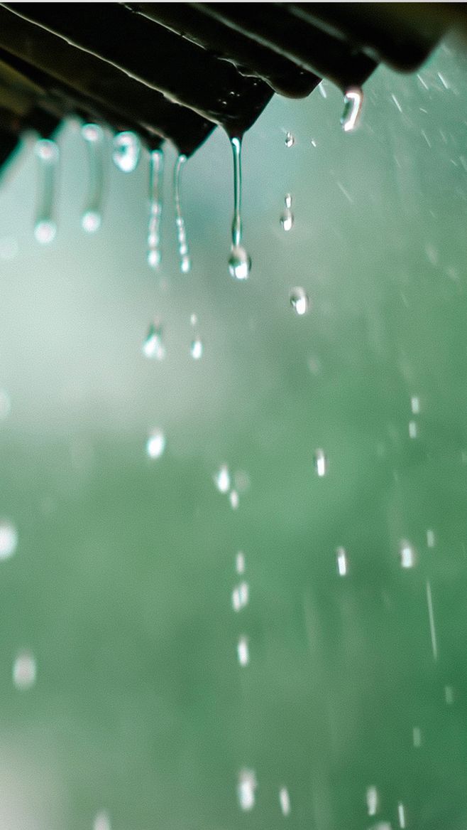 雨下给富人，也下给穷人，下给义人，也下给不义的人；其实，雨并不公道，因为下落在一