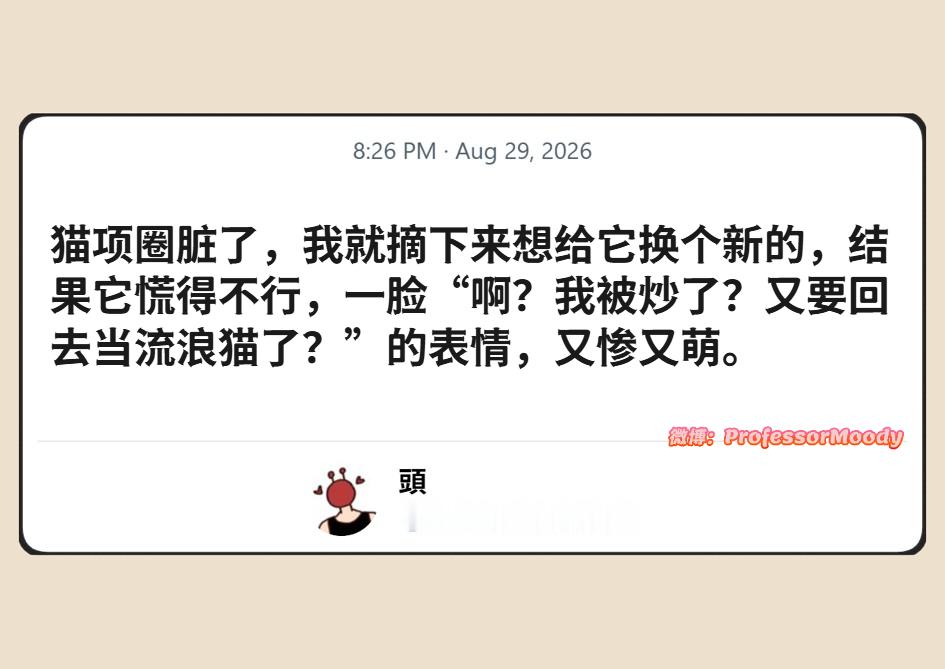 以为自己被优化的猫猫😿meme ​​​