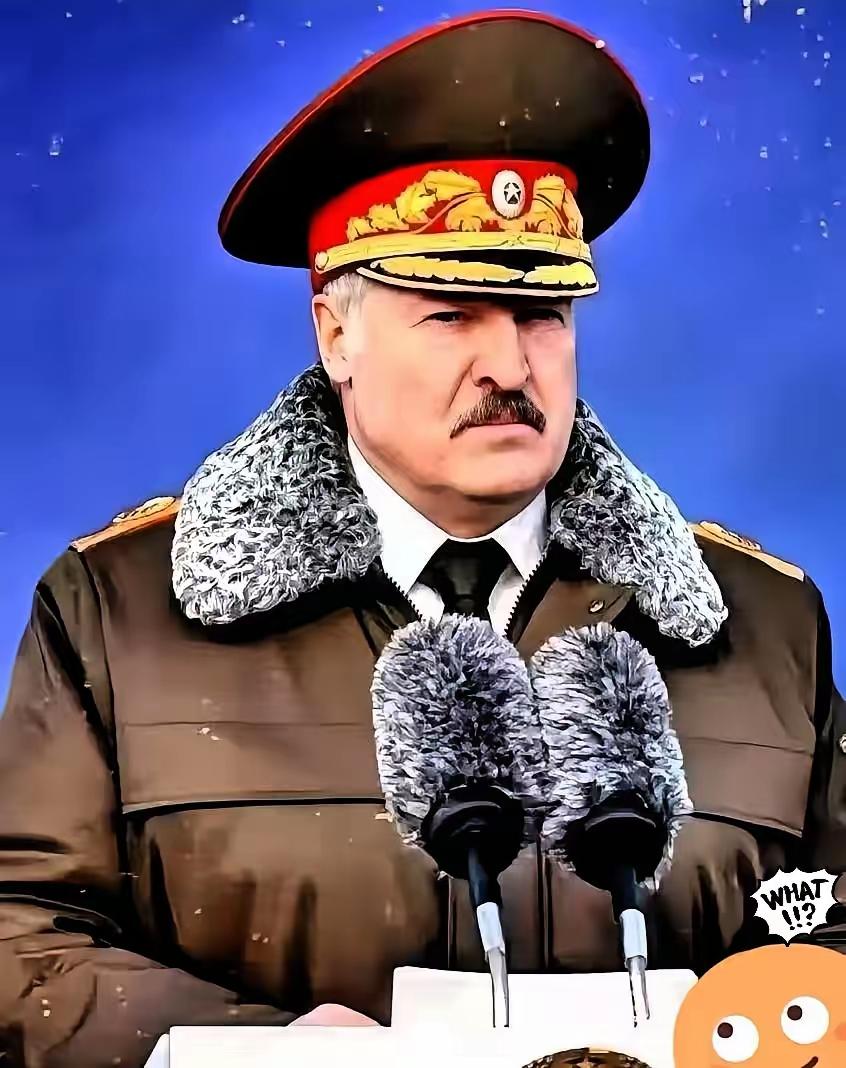 快讯！
白俄罗斯国防部长赫列宁1月13日发表声明，称“前所未有”的军事集结出现在