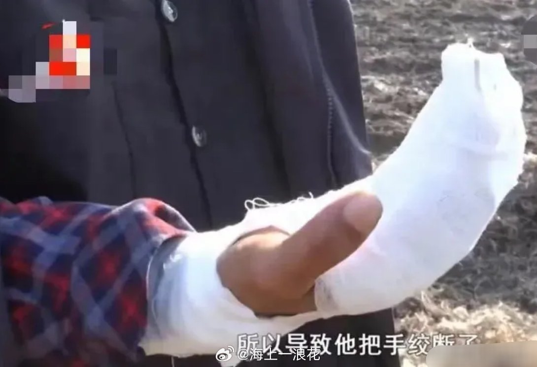 河北某地哄抢秋花生廊坊30亩花生被抢，农户阻拦致残。这不仅是贪念，更是对法治底线