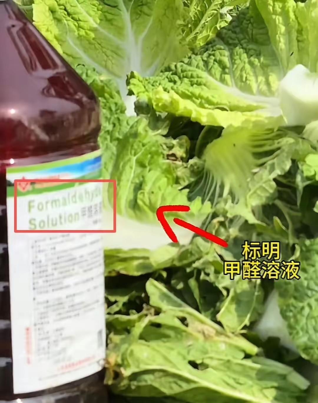 南京人，最近买白菜可得当心点了，据调查河北张家口康保县那些根部蘸过甲醛溶液的毒白