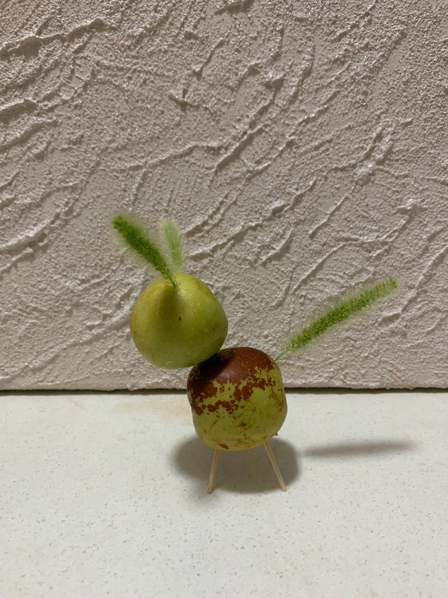 相册里热爱生活的证据 ​​​