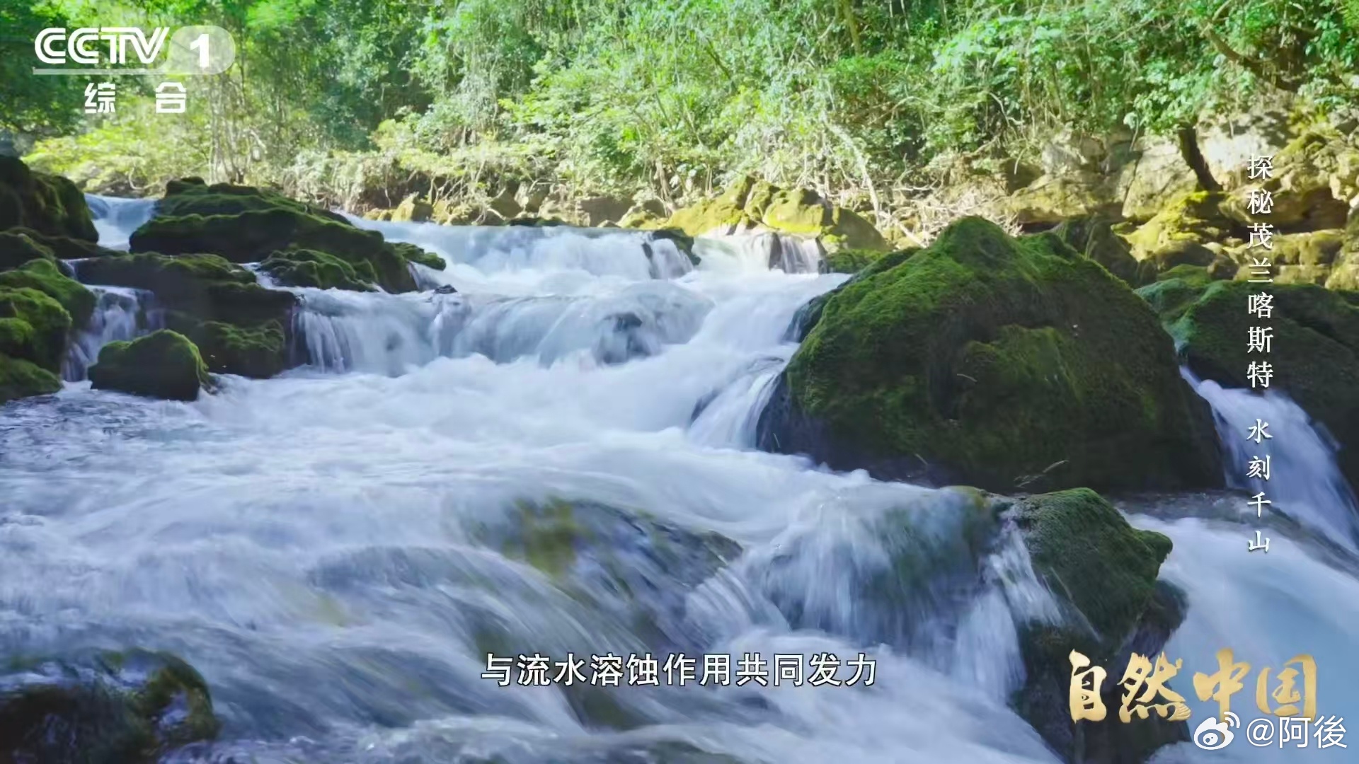 原来贵州曾是大海 贵州的山水藏着亿万年的秘密，山顶发现的珊瑚化石就是最好的证明?