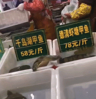 表情包[超话] 咋就贵了这么多……难道是吃虾长大的？ 