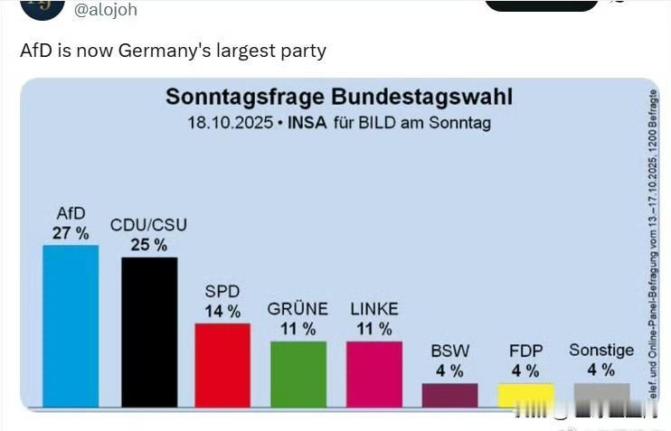 德国选择党(AfD)现已成为德国最大政党。 ​