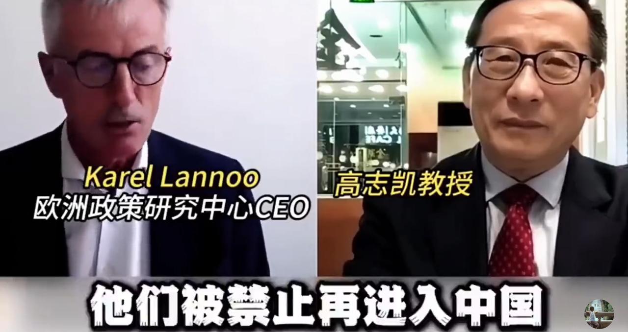 这个欧洲政策中心CEO被中国制裁后，一副愤愤不满的样子就可以看出，他认为自己有践