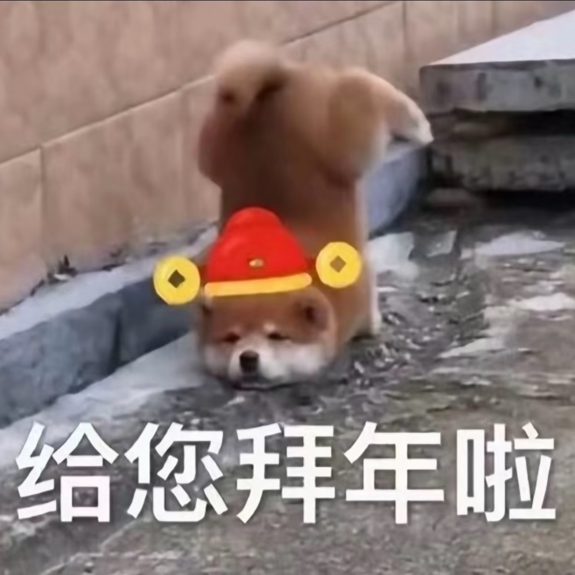 回老家后根本没有穿衣焦虑，是这样的回家之前装了很多衣服觉得自己能穿，但其实回老家