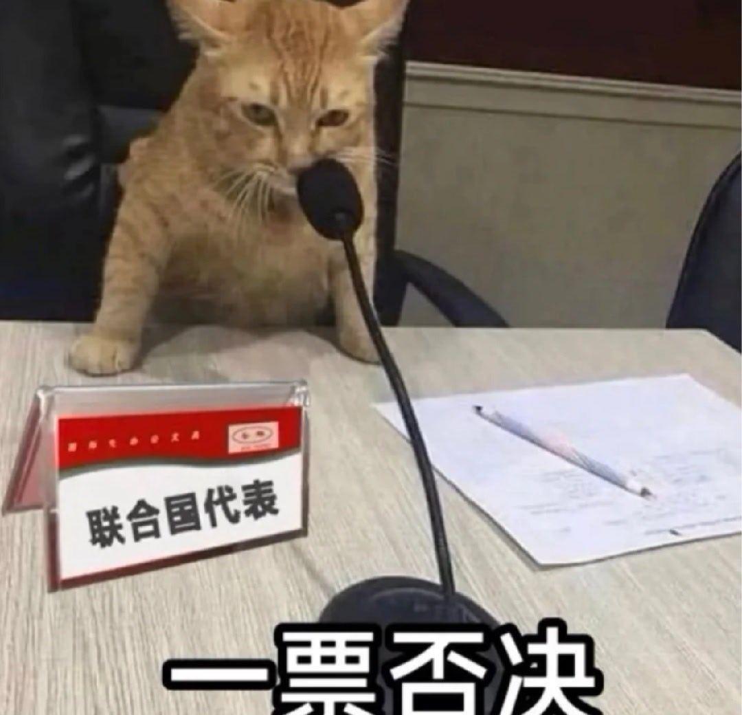 不是你的恋爱给我气郁结了都没时间看嫁金钗
每天都在刷韩泰胜李弥度cut和花絮调理