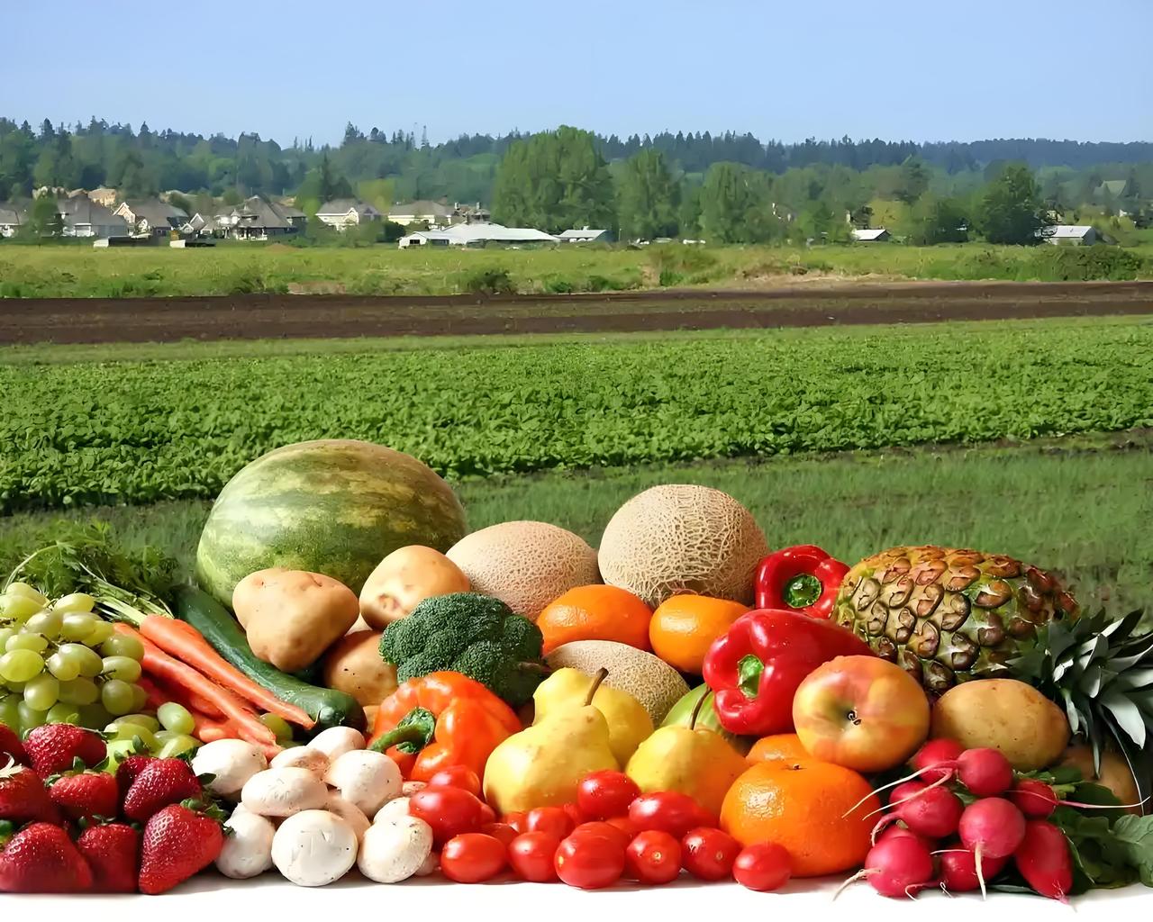 2025湖北农博会太牛啦！11月29日到12月2日，在武汉国际博览中心举办，近2