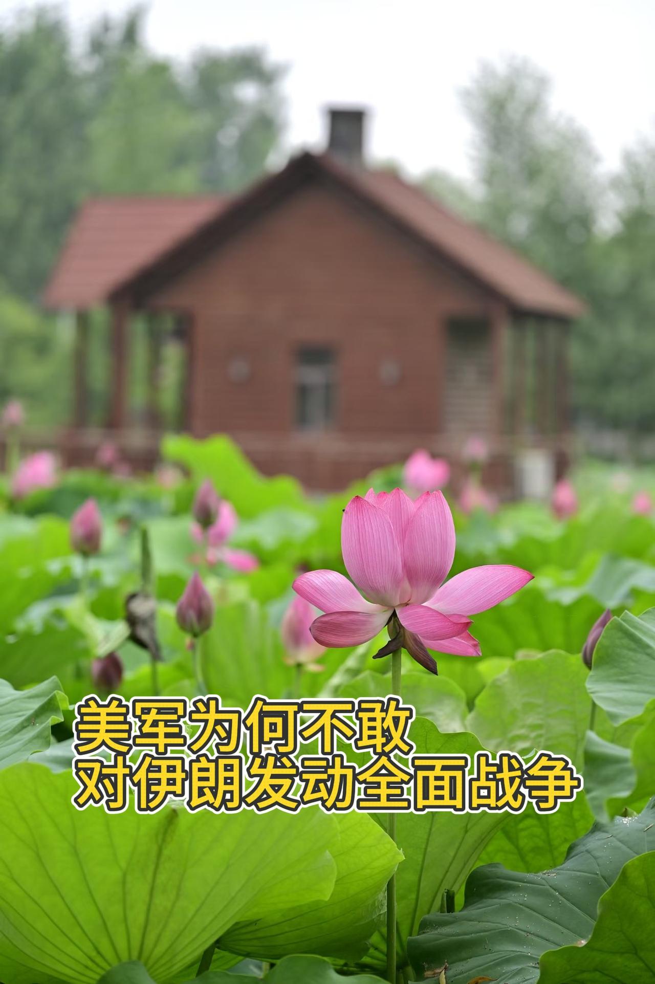 美军不敢打伊朗，说白了就三字：打不起。伊朗不是伊拉克，地形复杂、导弹管够，背后还