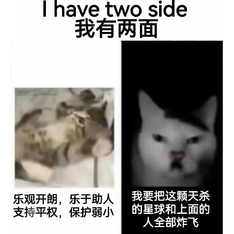 <img src=