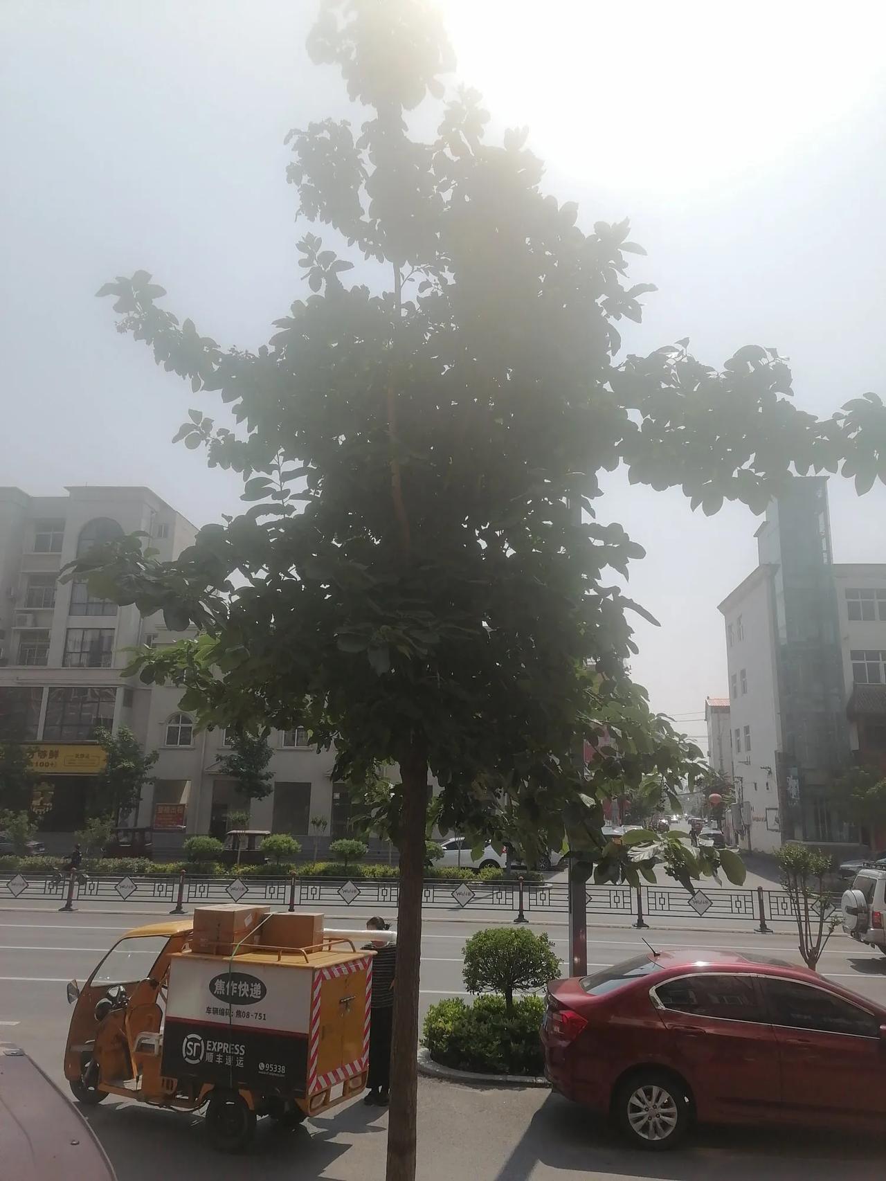 上联：秋霜催黄叶，诚邀下联春来发新枝