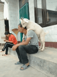 恶魔低语