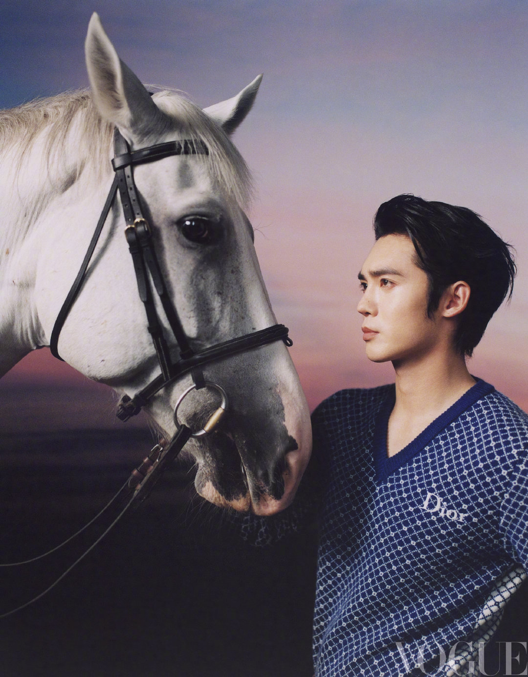 于适 x VOGUE MAN 2026年1月开年刊封面，品牌大使身穿Dior 2
