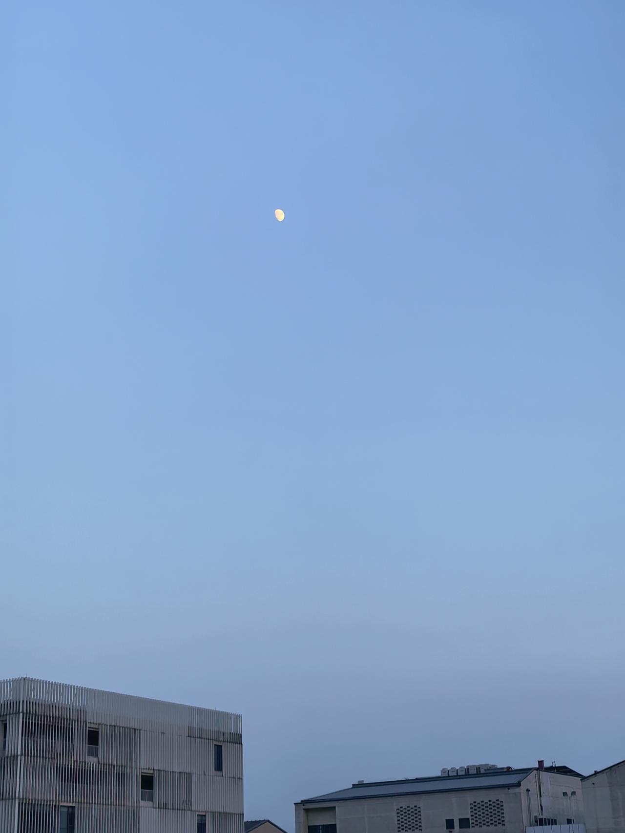 我想安静一会儿
借着宁静的夜色让高高的天空
尽量压低我莫名的伤感
     ——