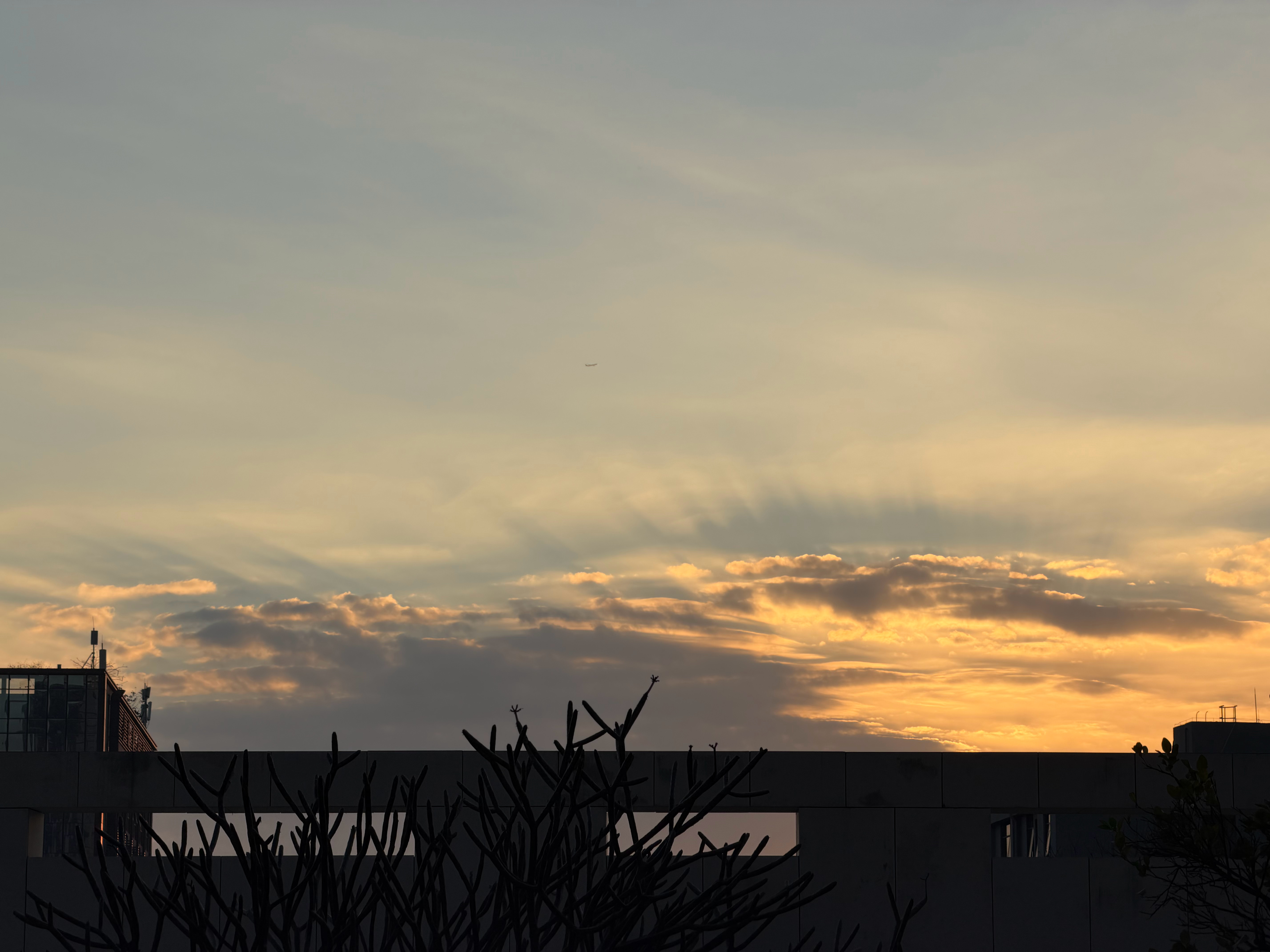 好天气 提前祝大家过年好 深圳