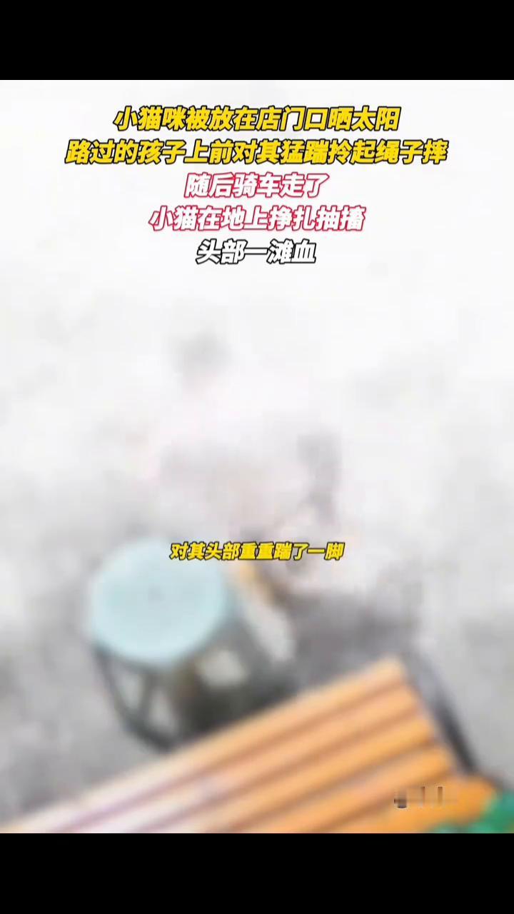 小猫咪被放在店门口晒太阳，路过的孩子上前对其猛蹭，拎起绳子摔，随后骑车走了。小猫