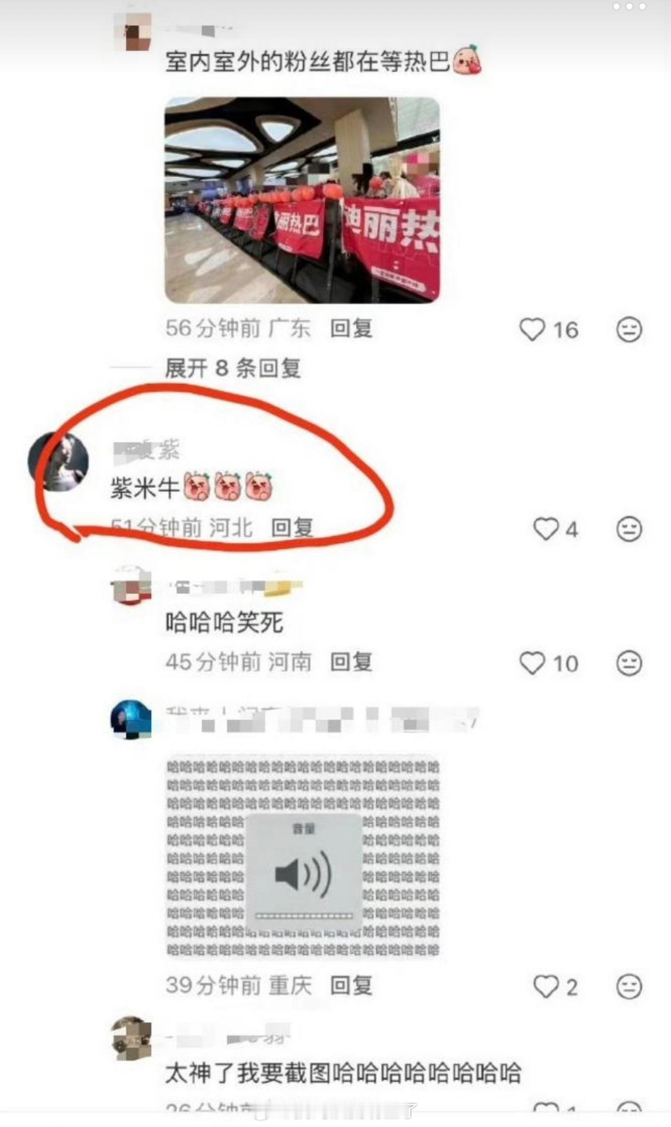 太神了哈哈哈哈哈哈 