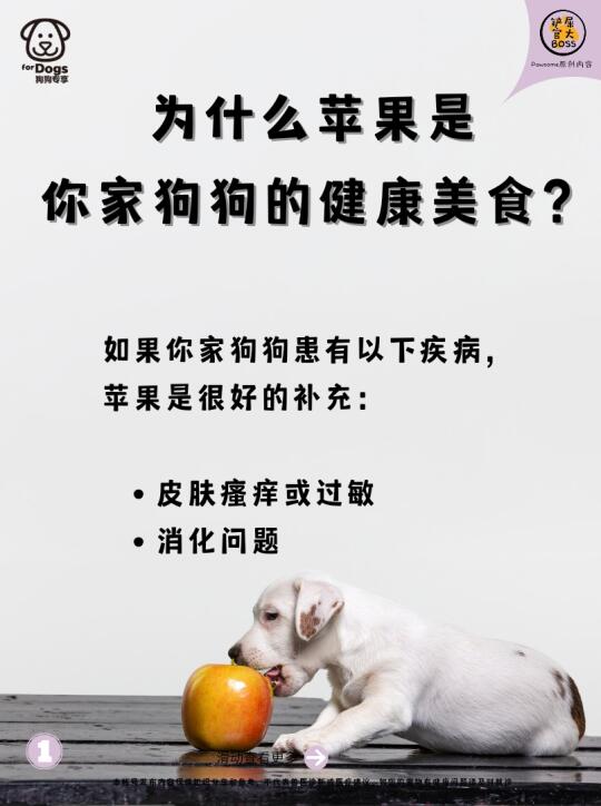 为什么苹果是你家狗狗的健康美食？