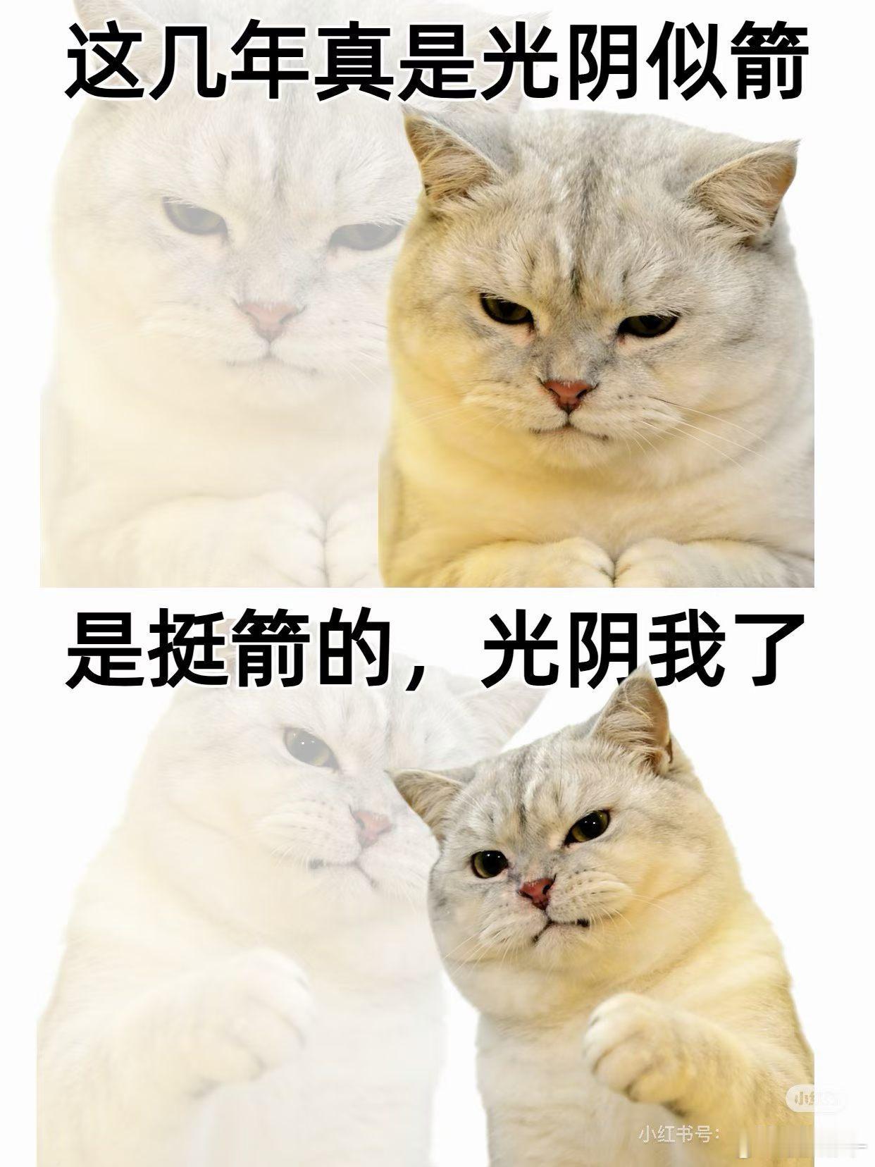 SBTI最稀有人格大家都测了嘛，都是什么人格？ 