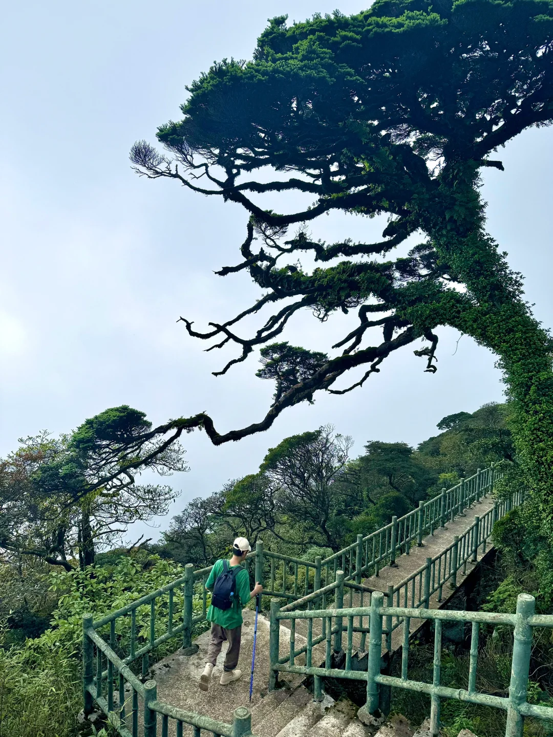 圣堂山⛰️会惩罚每一个不做攻略的人……