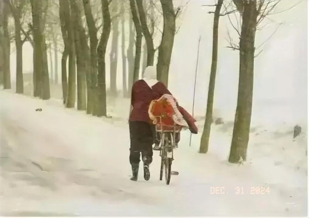 漫天大雪也挡不住回家的路，这就叫归心似箭。愿每个走在回家路上的人都能平安到家，与
