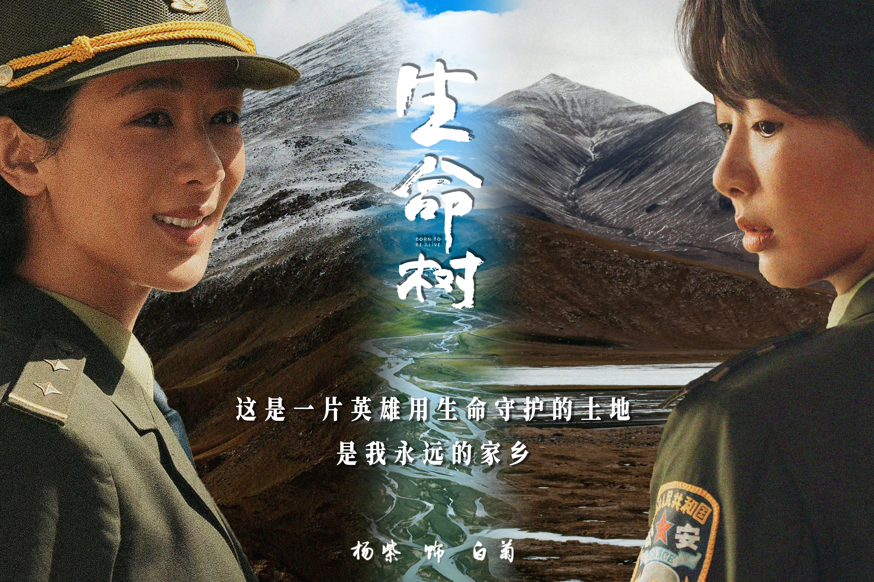 金鹰奖 预测：最佳女主角 杨紫 