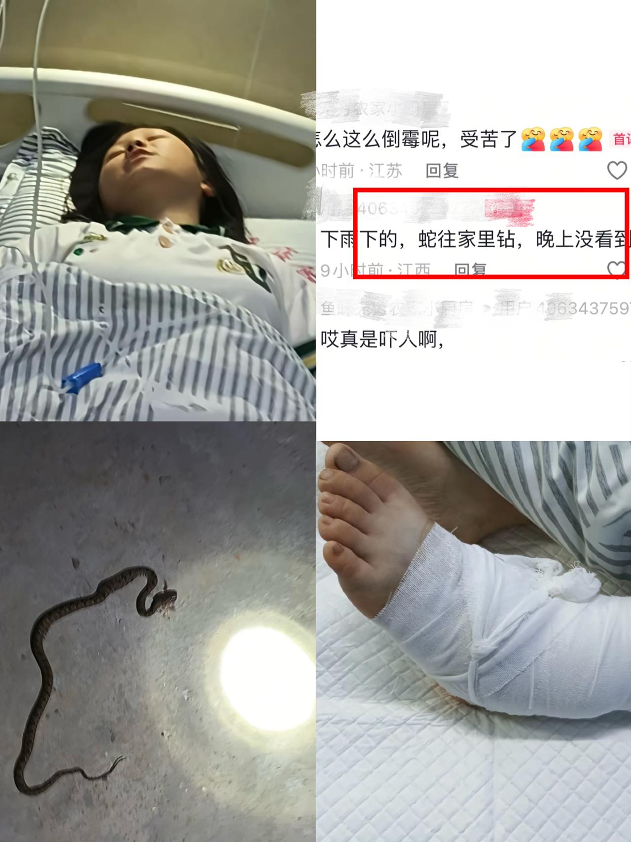恐怖，毒蛇钻家里咬人，事发吉安，由于下雨天气，一条原矛头蝮爬进一户居民家中，咬到