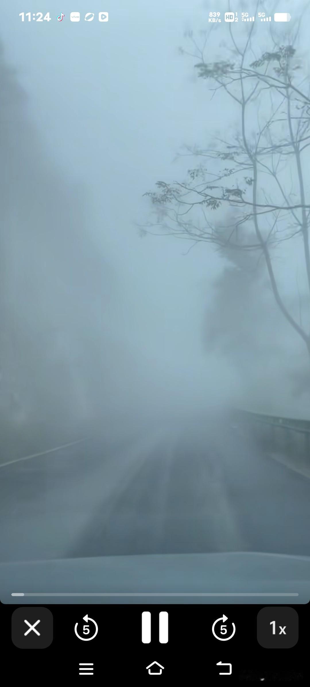 泰安突然被浓雾笼罩啦！今晚到明天早上，能见度可能降到最低200米，出门可得多留个