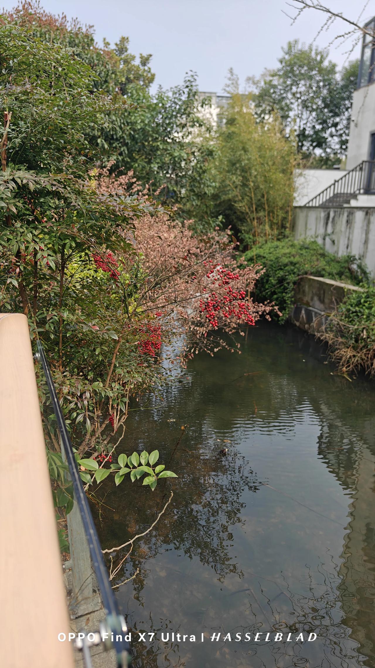 2025年，我脚踝骨折全面恢复，满心欢喜。

10月底，却被涟水无赖电动车超速撞