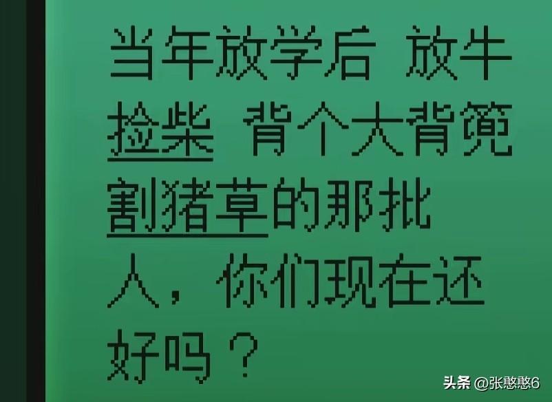 80后，90后，白天放学割猪草，牛草，放假，放周末牛猪饭承包的，晚上照着煤油灯做