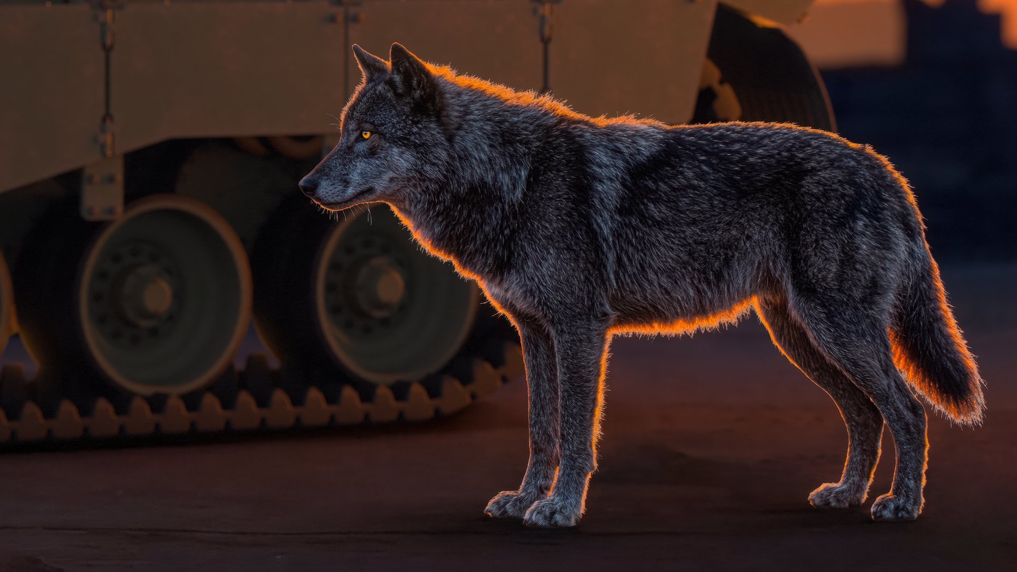 每天认识一件兵器  帝国🇺🇸陆军的坦克装甲车“御用厂”GDLS虽然给出了Wo