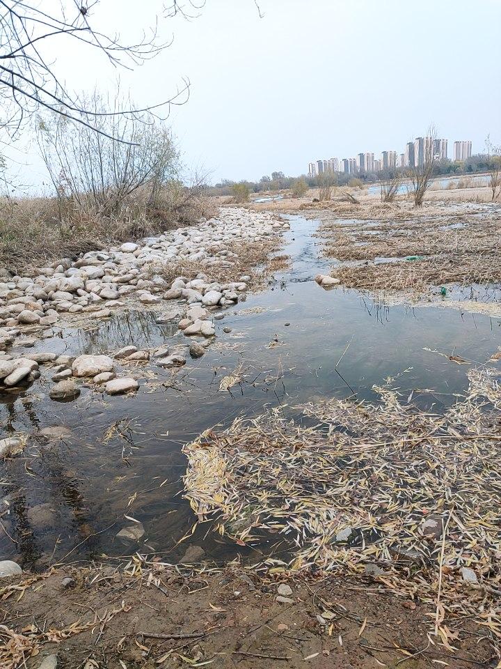 夏秋褪去，冬季来临，鸟巢出现，冬鸟是人们喜爱的！
你看这个人群。
就像柳树是春天
