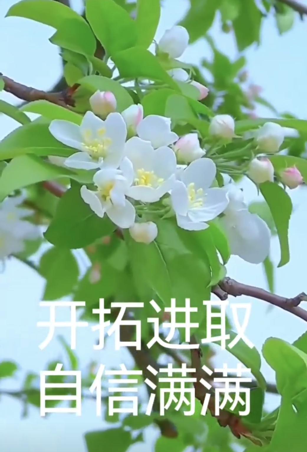 健康小常识：给患者开完方子，有些患者会说你的方子剂量太小了，能不能开的剂量大一些